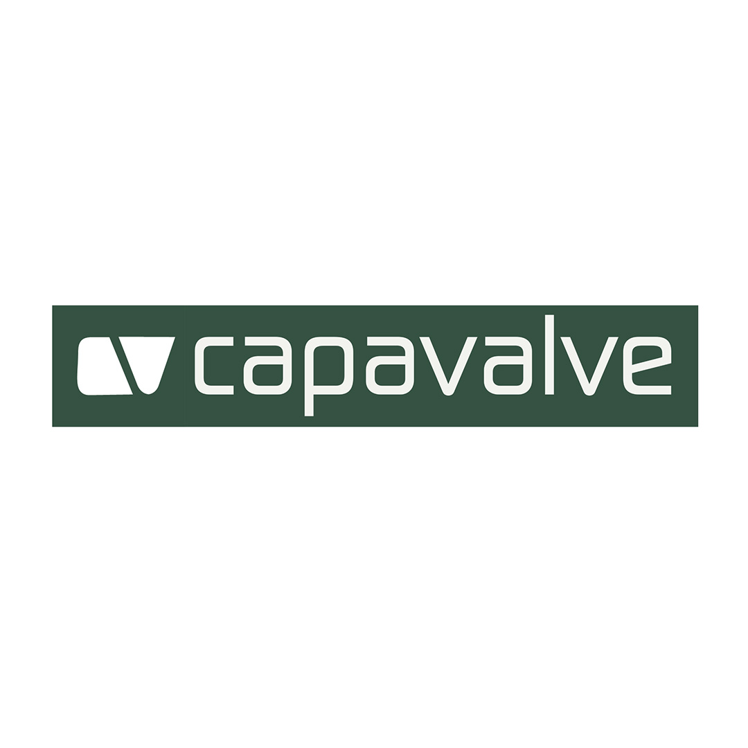 Capa Valve Ltd